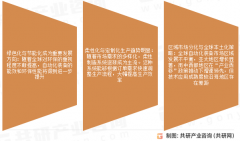 迪索共研征询无限公司是一家具有全球化视野、