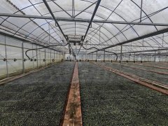 约化、尺度化、智能化鞭策特色财产提质增效